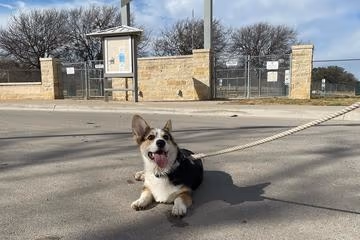 ZBonz Dog Park at North Z Boaz Park photo 1